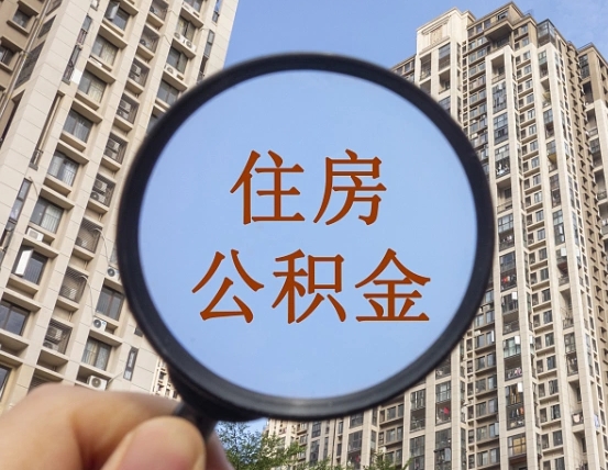 大庆退休后查不到公积金明细了吗（退休后公积金查询不到原因）